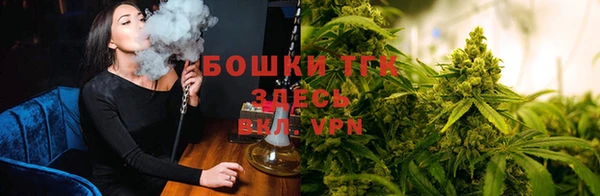 ГАЛЛЮЦИНОГЕННЫЕ ГРИБЫ Нефтекумск