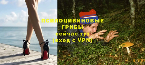 ГАЛЛЮЦИНОГЕННЫЕ ГРИБЫ Нефтекумск