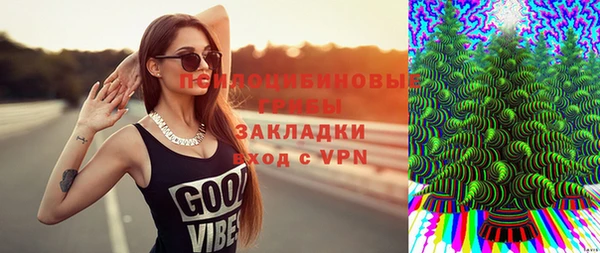 сатива Нея