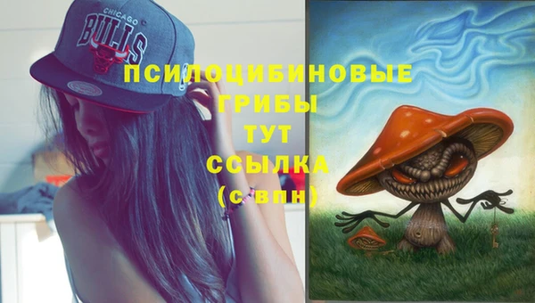сатива Нея