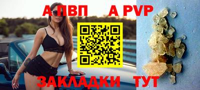 крисы Можга