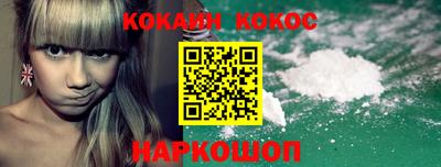 крисы Можга