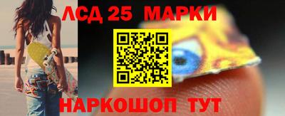 крисы Можга