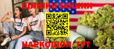 крисы Можга