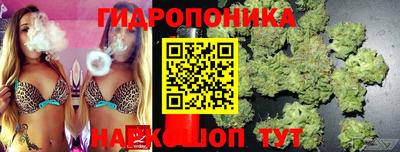 спиды Можайск