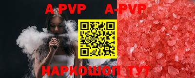 крисы Можга