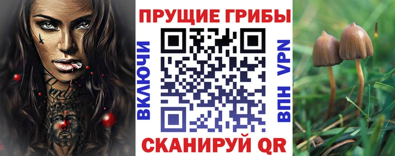 Псилоцибиновые грибы GOLDEN TEACHER  Тольятти 