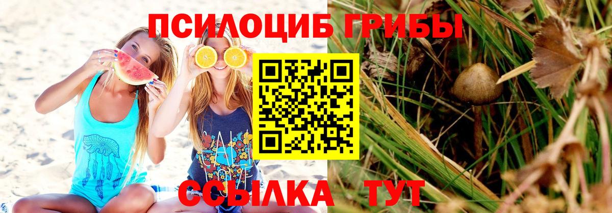 Тольятти  Галлюциногенные грибы прущие грибы  Вход с VPN 
